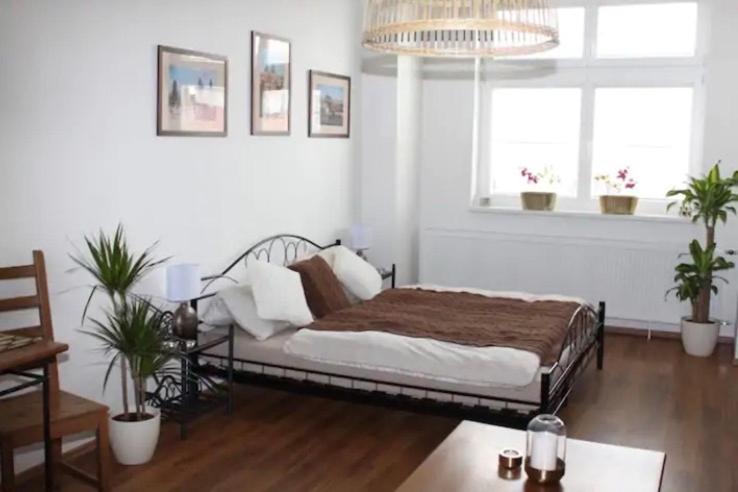 Lenka'S Cozy Red Studio + Lenka'S Cozy Gold Apartment Praga Exterior foto